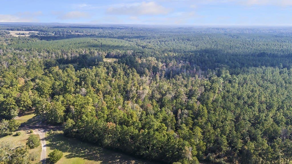 12.88 acres in Texas County - photo 8