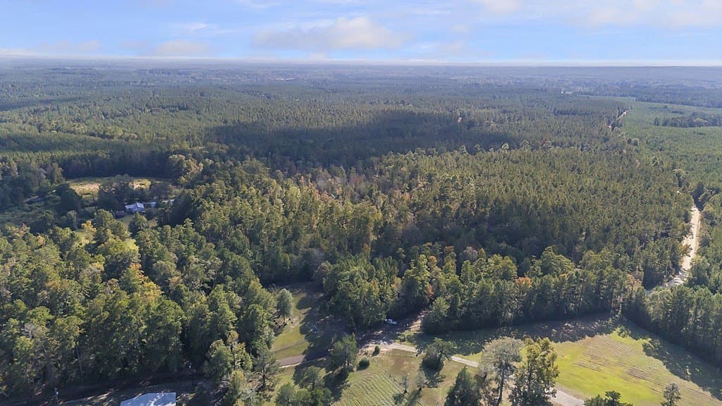 12.88 acres in Texas County - photo 5