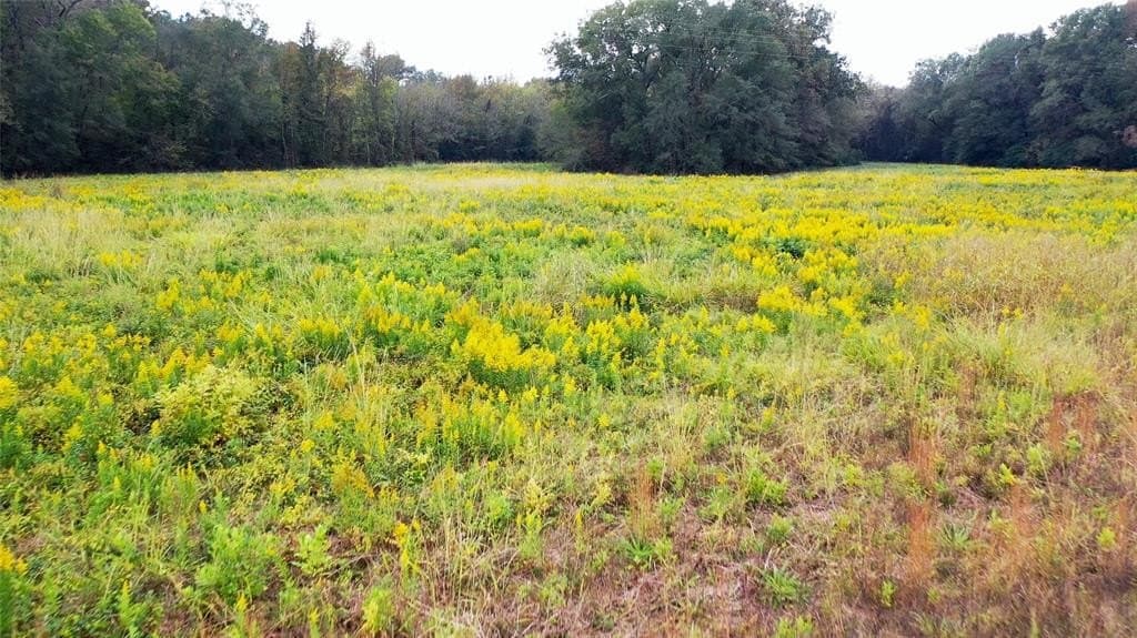 27.88 acres in Bowie County - photo 23