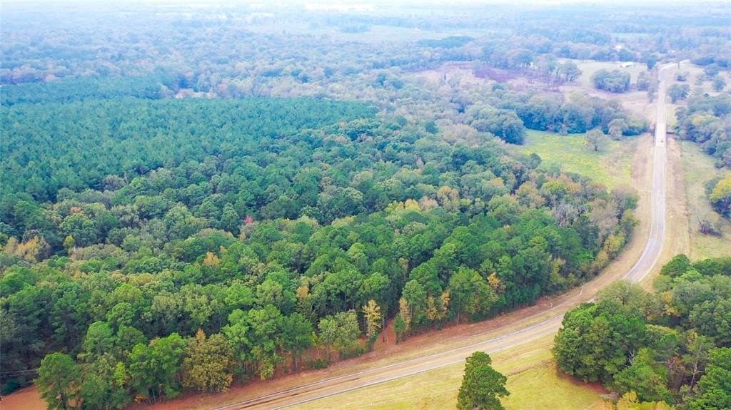 27.88 acres in Bowie County - photo 25