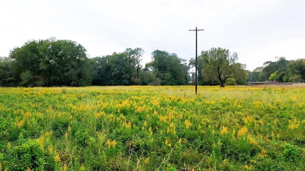 27.88 acres in Bowie County - photo 21