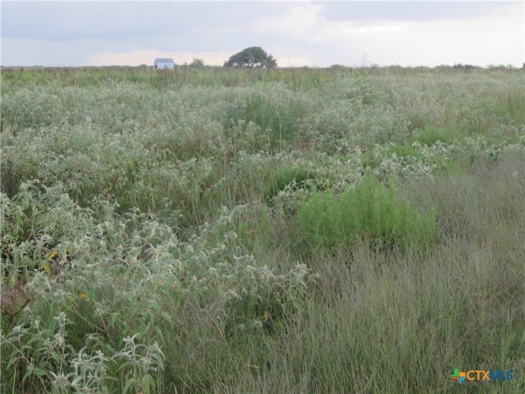 400 acres in Jackson County - photo 21