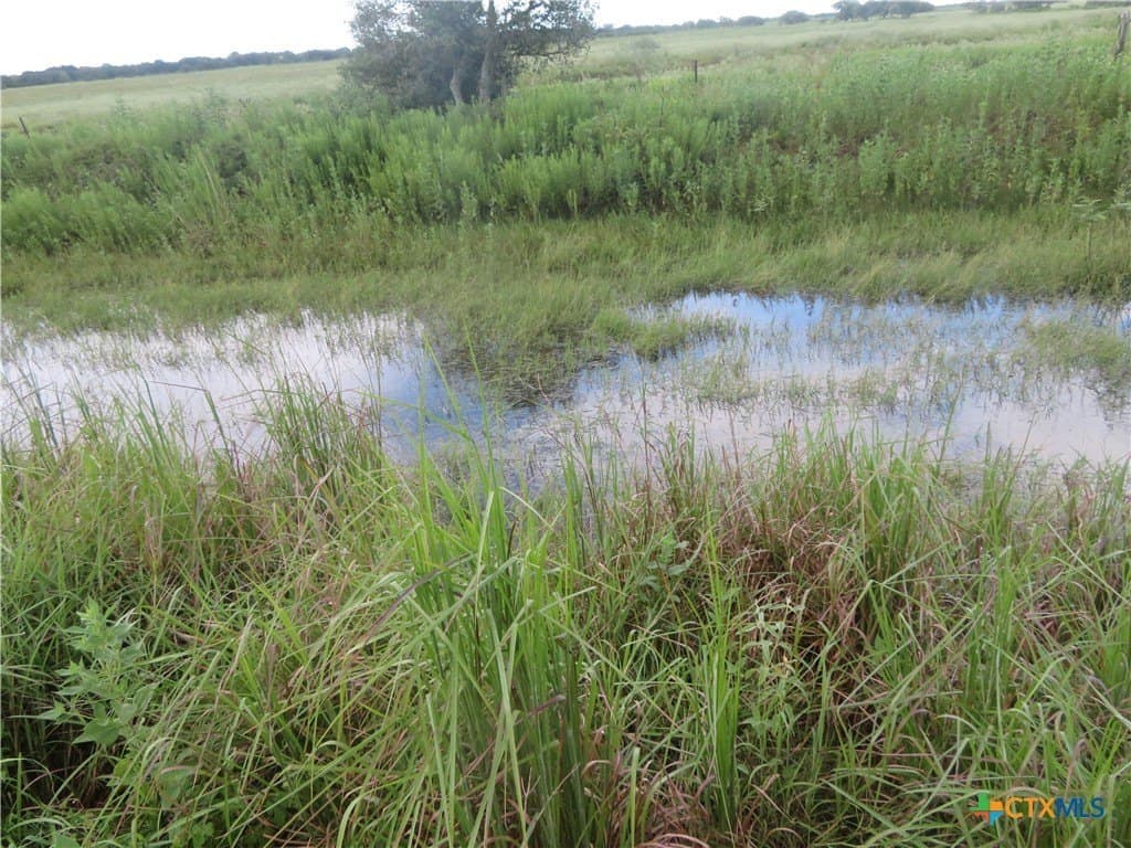 400 acres in Jackson County - photo 19