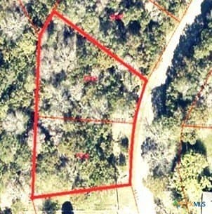 3 N Walnut lot: 3 & 4