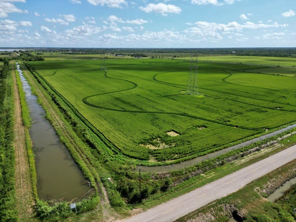 78 acres in Texas County - photo 3