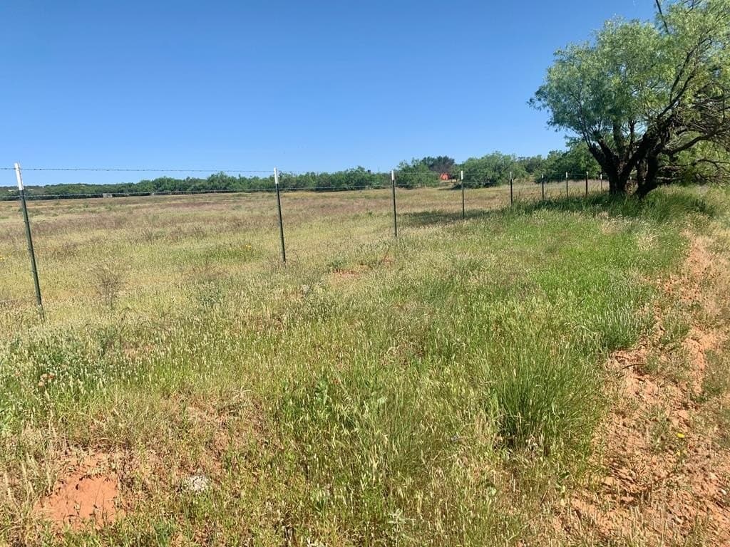 19.76 acres in Fisher County - photo 3