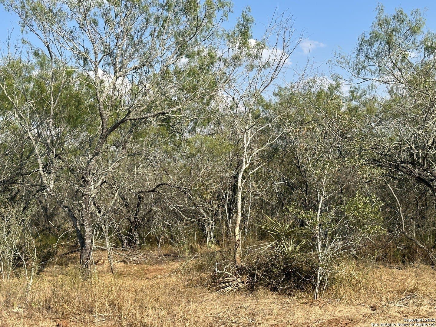 5.63 acres in Wilson County - photo 5