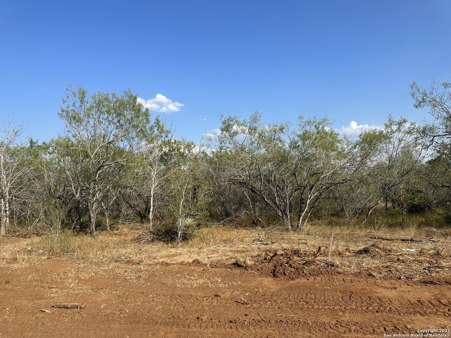 5.63 acres in Wilson County - photo 8