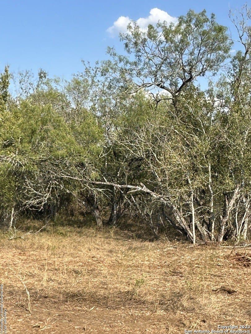 5.63 acres in Wilson County - photo 9