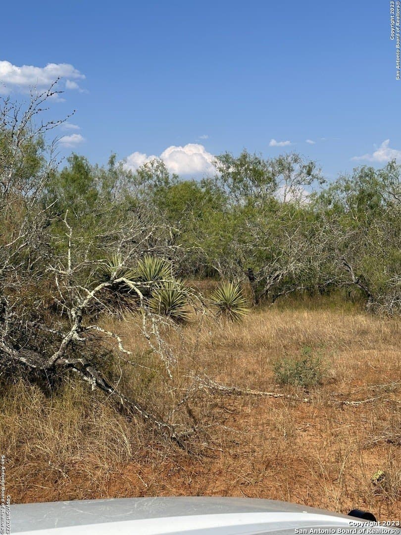 5.63 acres in Wilson County - photo 3
