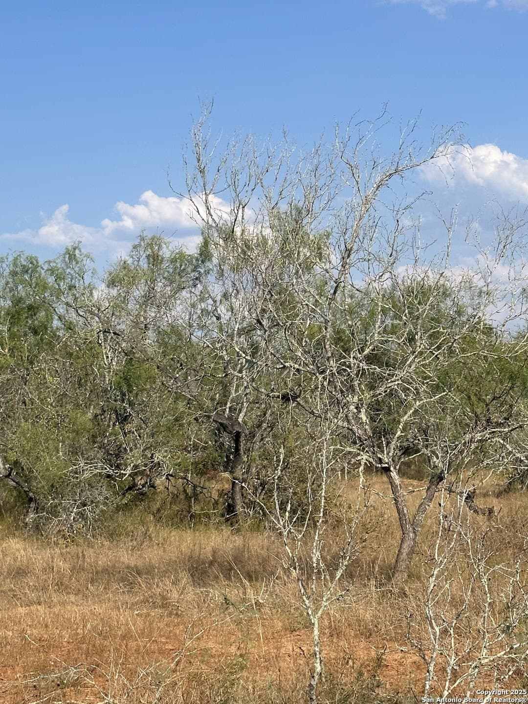 5.63 acres in Wilson County - photo 11