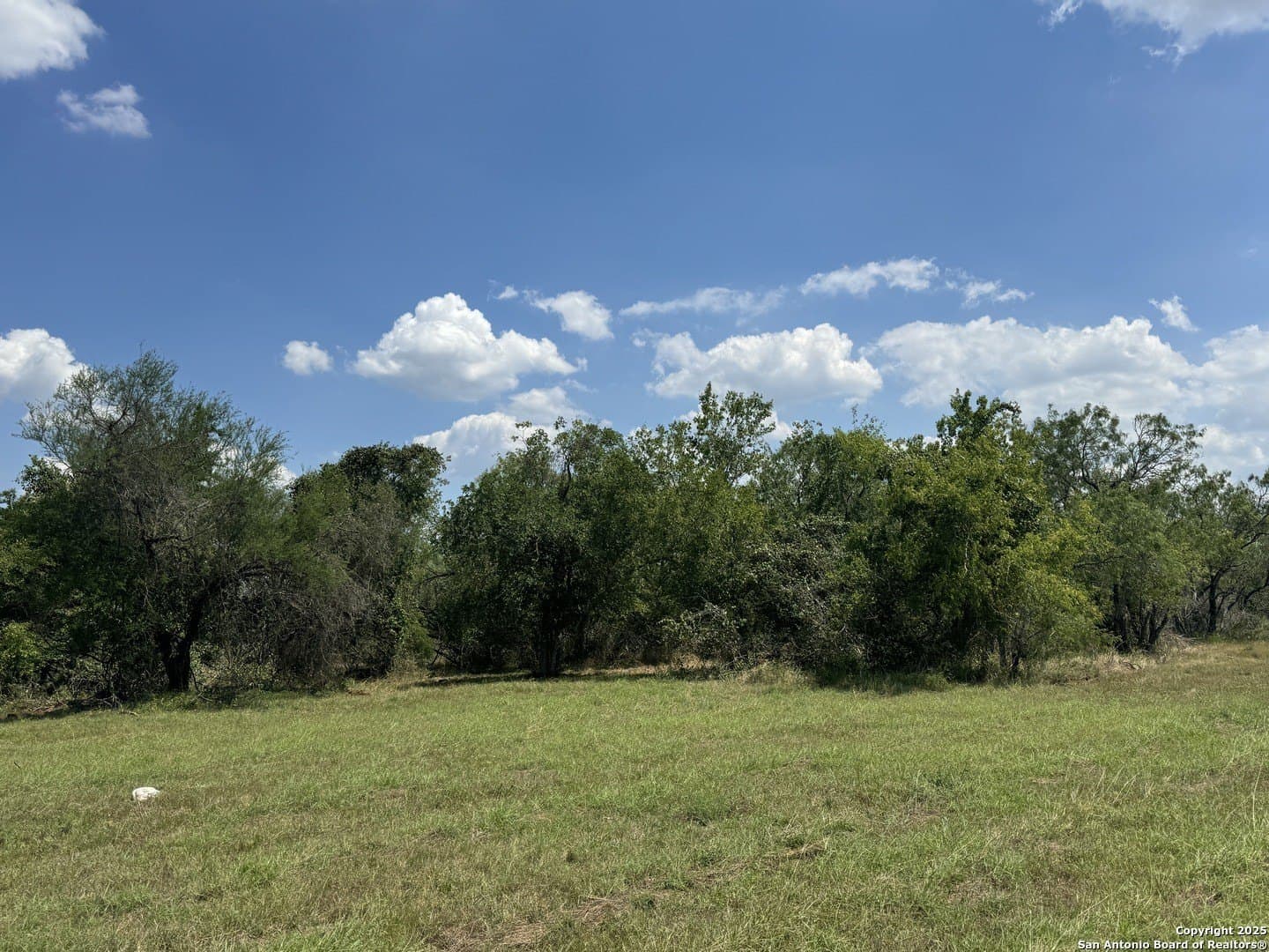 5.63 acres in Wilson County - photo 2