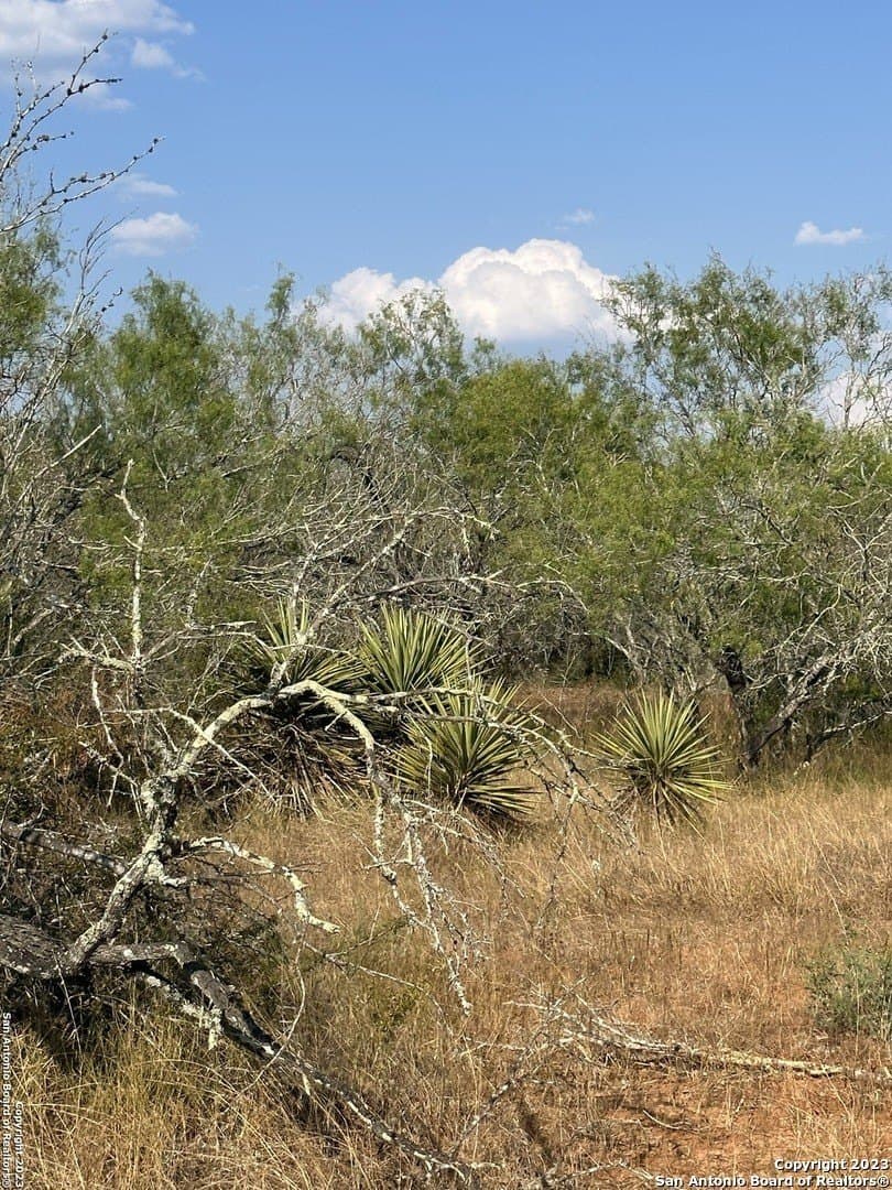 5.63 acres in Wilson County - photo 6