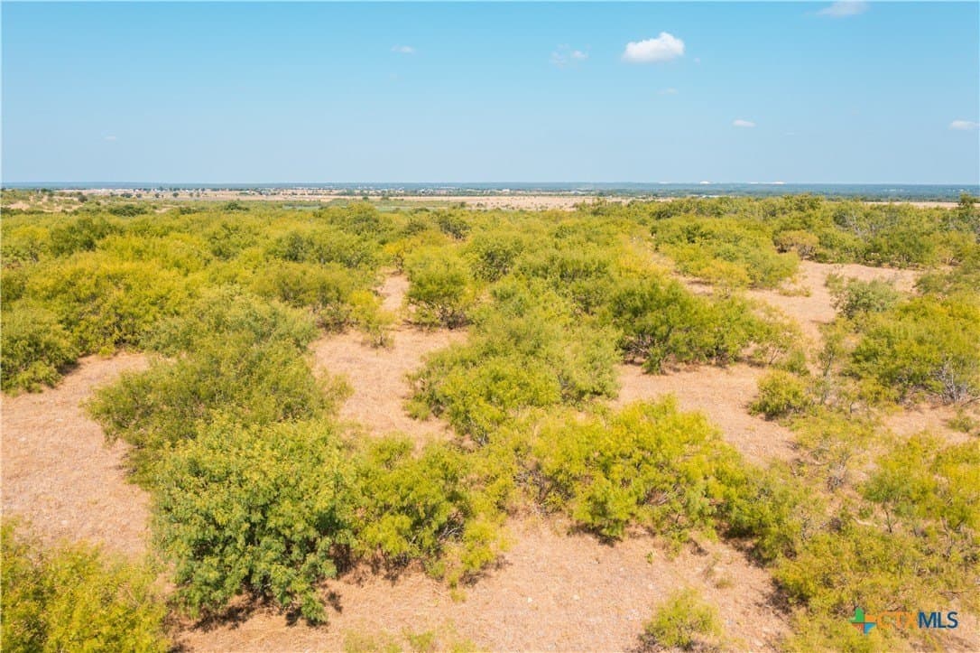 50 acres in Williamson County - photo 15