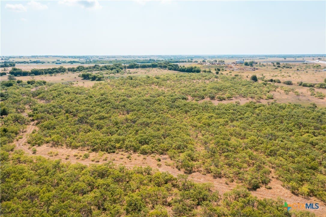 50 acres in Williamson County - photo 20