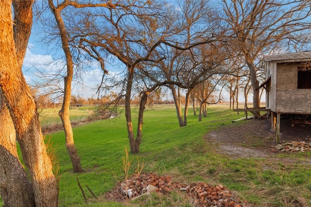 8.28 acres in Limestone County - photo 34