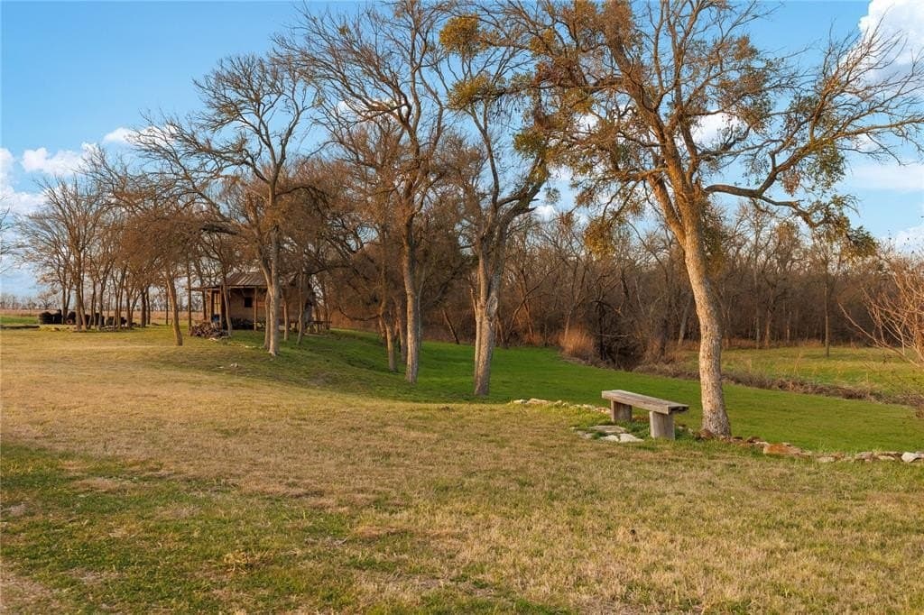 8.28 acres in Limestone County - photo 17