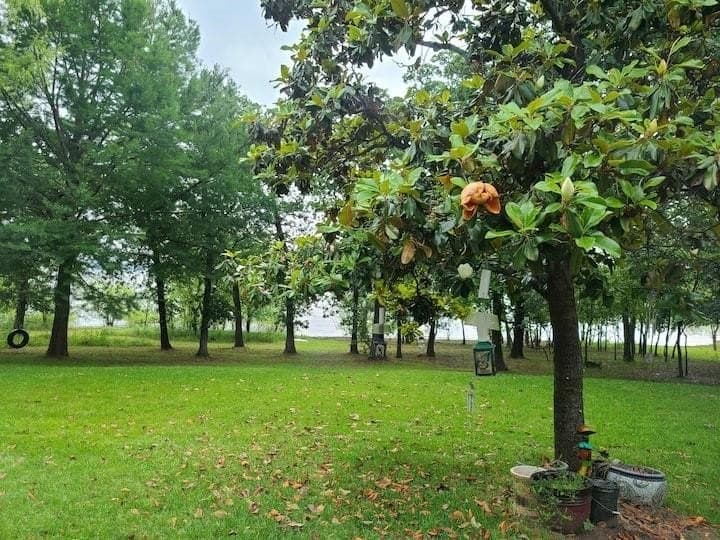 0.13 acres in Denton County - photo 2