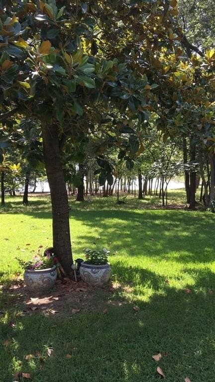 0.13 acres in Denton County - photo 5