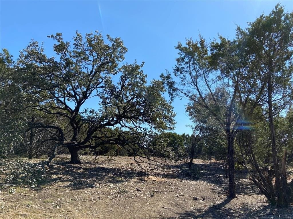 9.9 acres in Palo Pinto County - photo 28