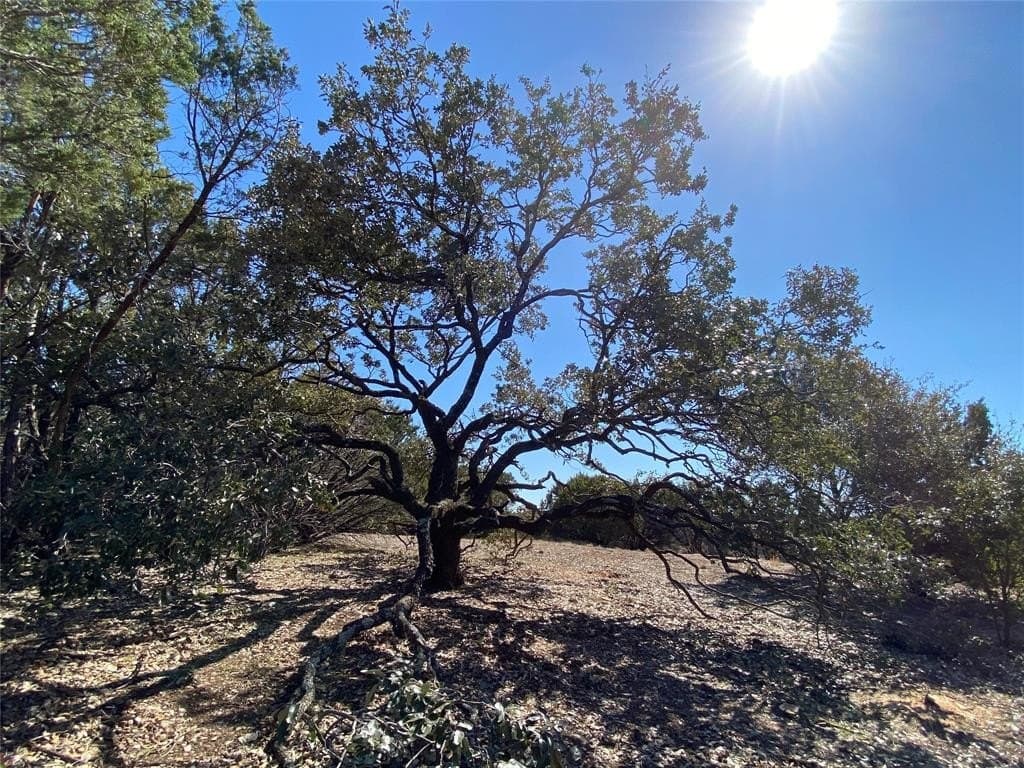 9.9 acres in Palo Pinto County - photo 4