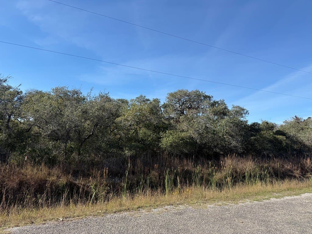 0 acres in Texas County - photo 3