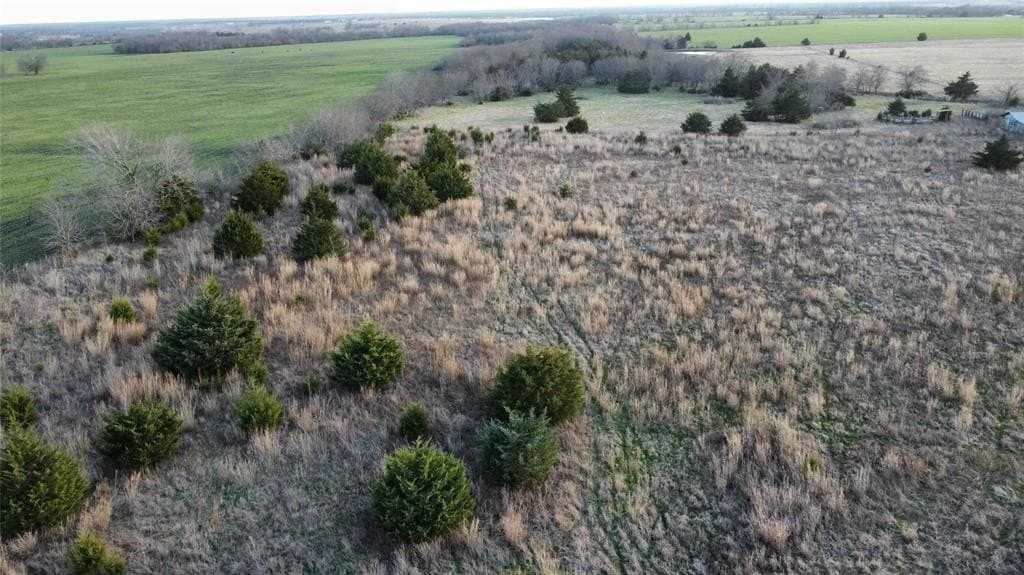 15 acres in Fannin County - photo 4