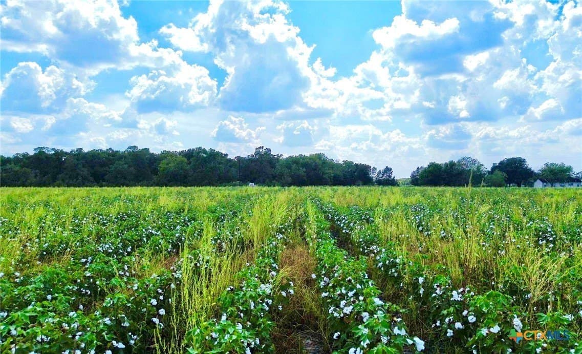 30 acres in Fort Bend County - photo 6