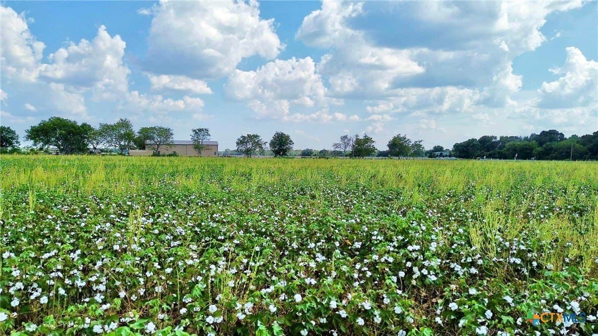 30 acres in Fort Bend County - photo 5