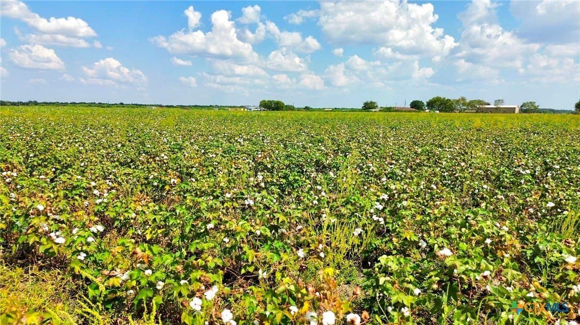 30 acres in Fort Bend County - photo 12
