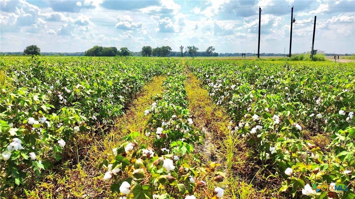 30 acres in Fort Bend County - photo 8