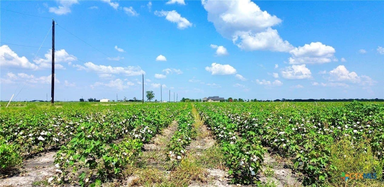 30 acres in Fort Bend County - photo 9