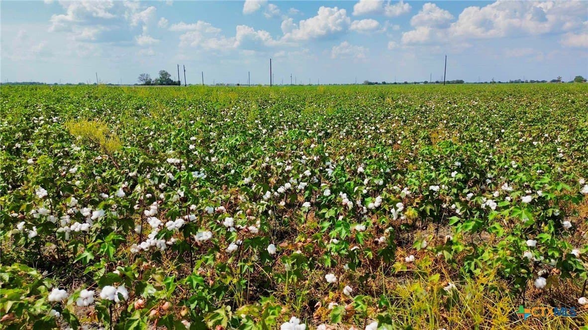 30 acres in Fort Bend County - photo 15