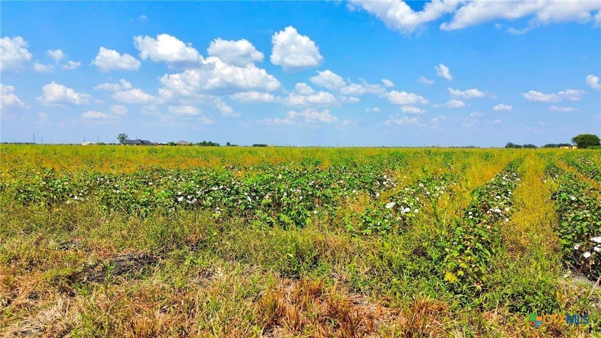 30 acres in Fort Bend County - photo 18