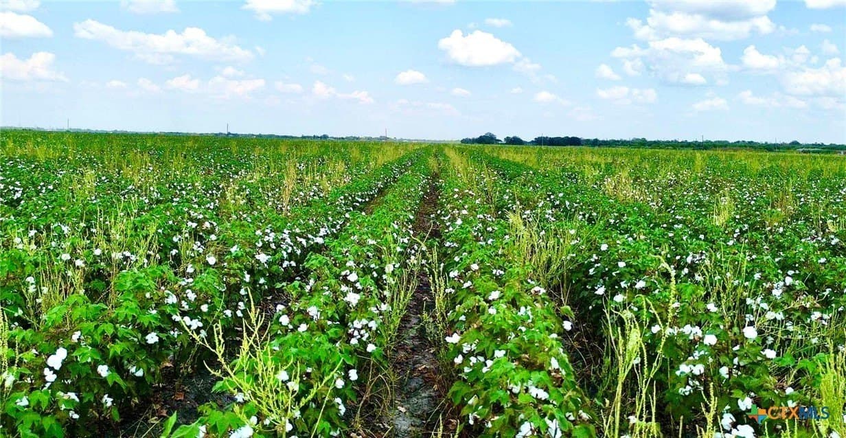 30 acres in Fort Bend County - photo 2