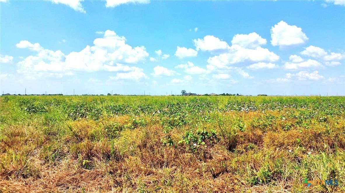 30 acres in Fort Bend County - photo 17