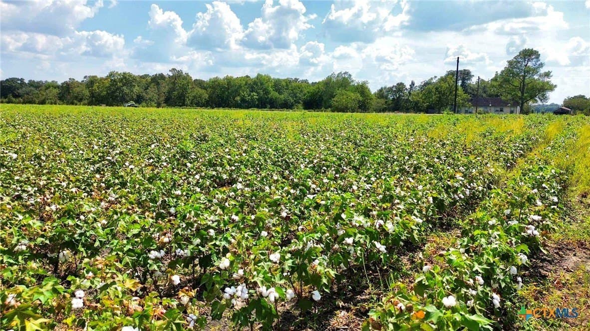30 acres in Fort Bend County - photo 14