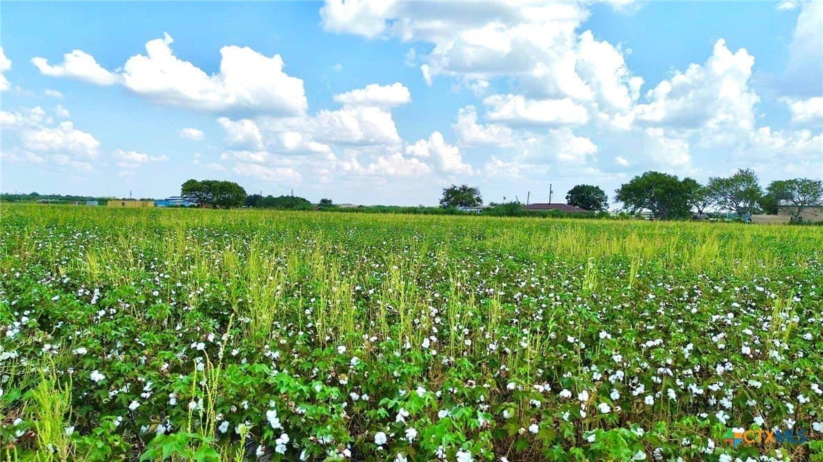 30 acres in Fort Bend County - photo 3