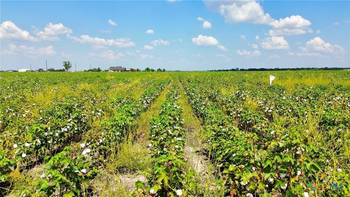 30 acres in Fort Bend County - photo 11