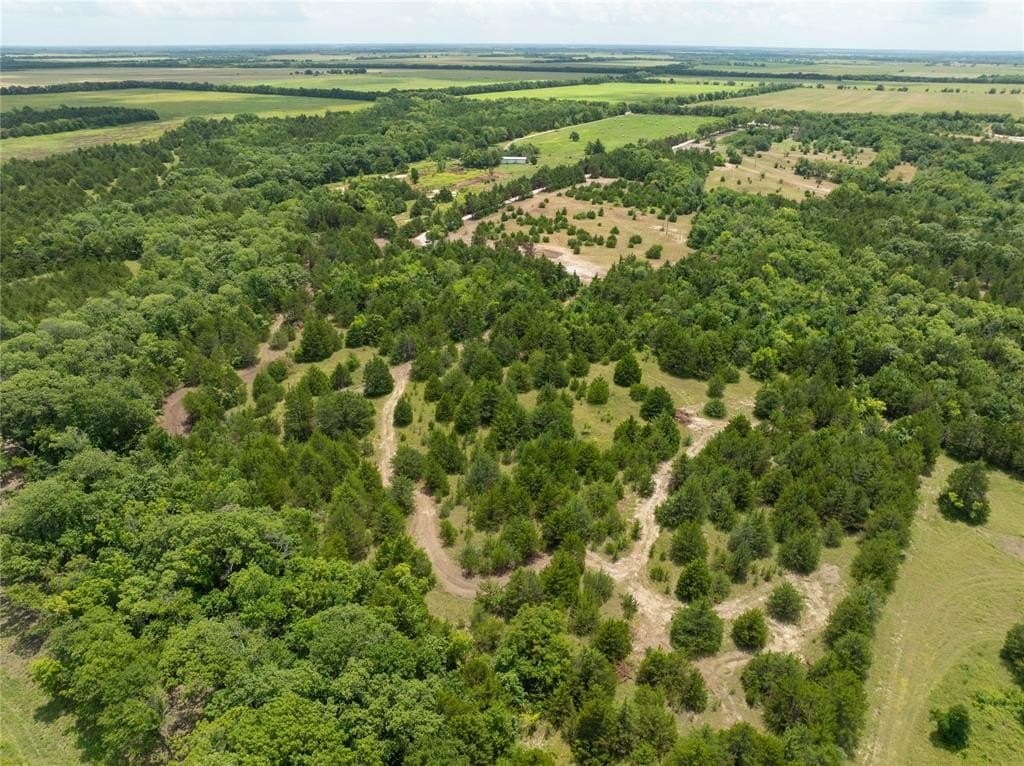 5 acres in Fannin County - photo 10