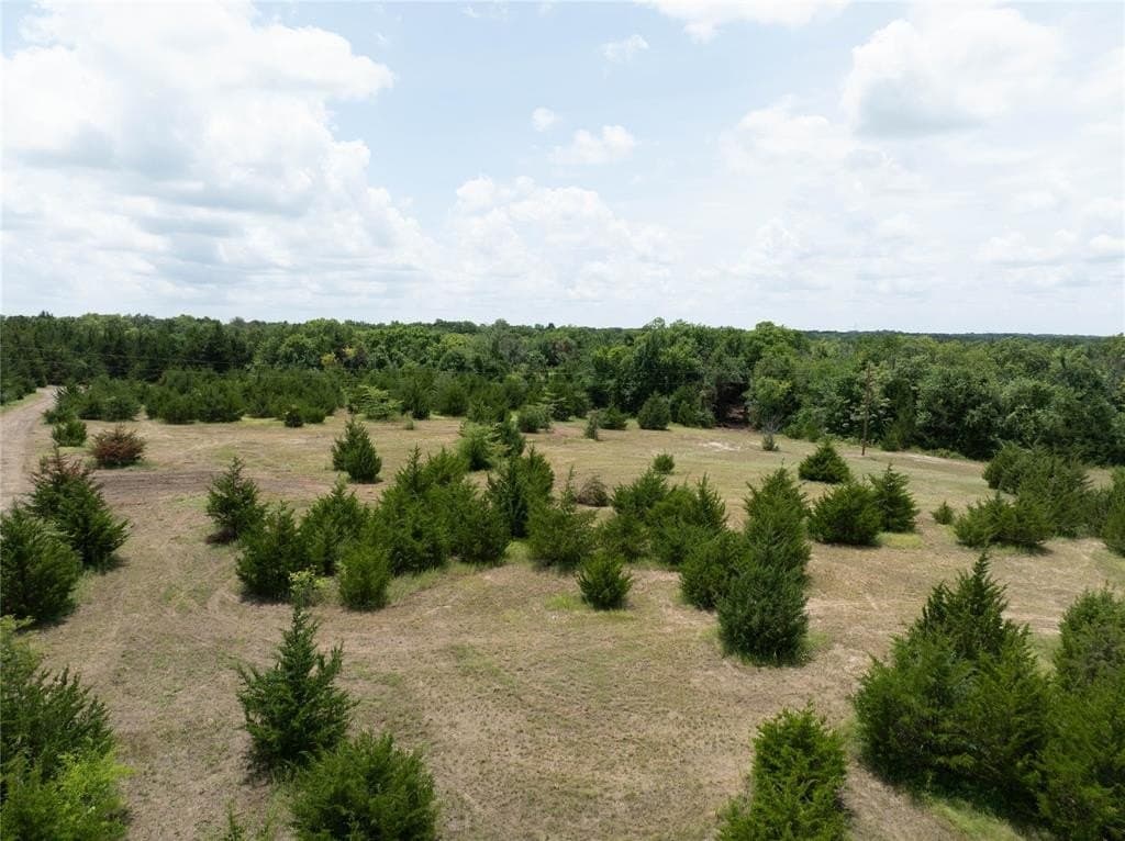 5 acres in Fannin County - photo 9