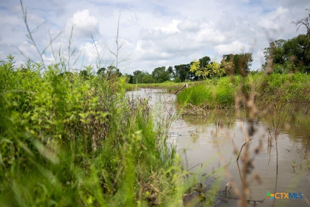 16 acres in McLennan County - photo 23