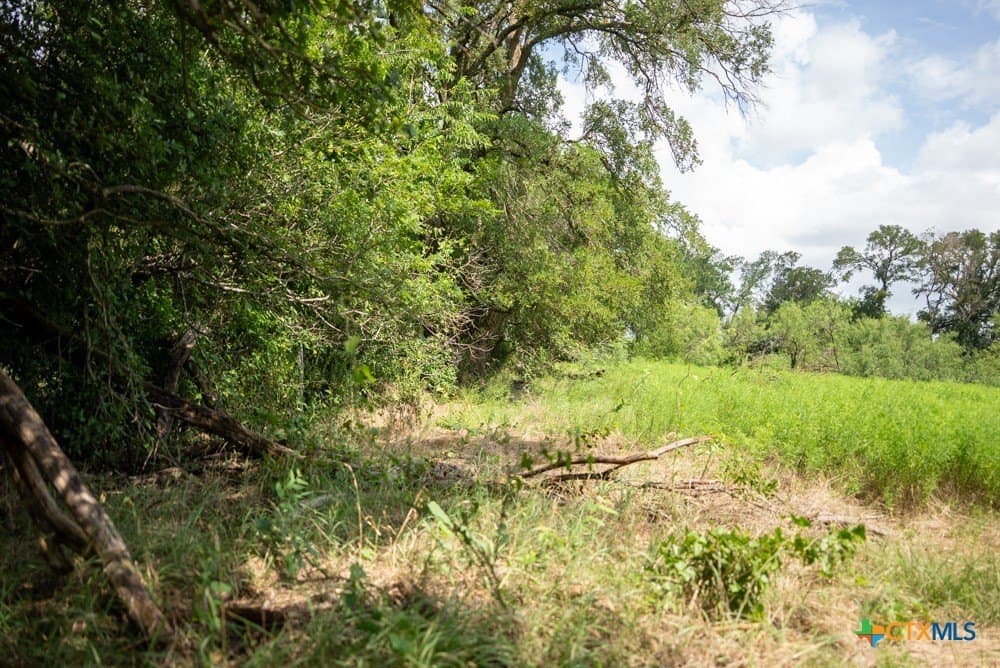16 acres in McLennan County - photo 27