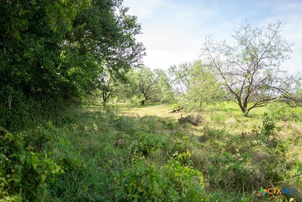 16 acres in McLennan County - photo 20