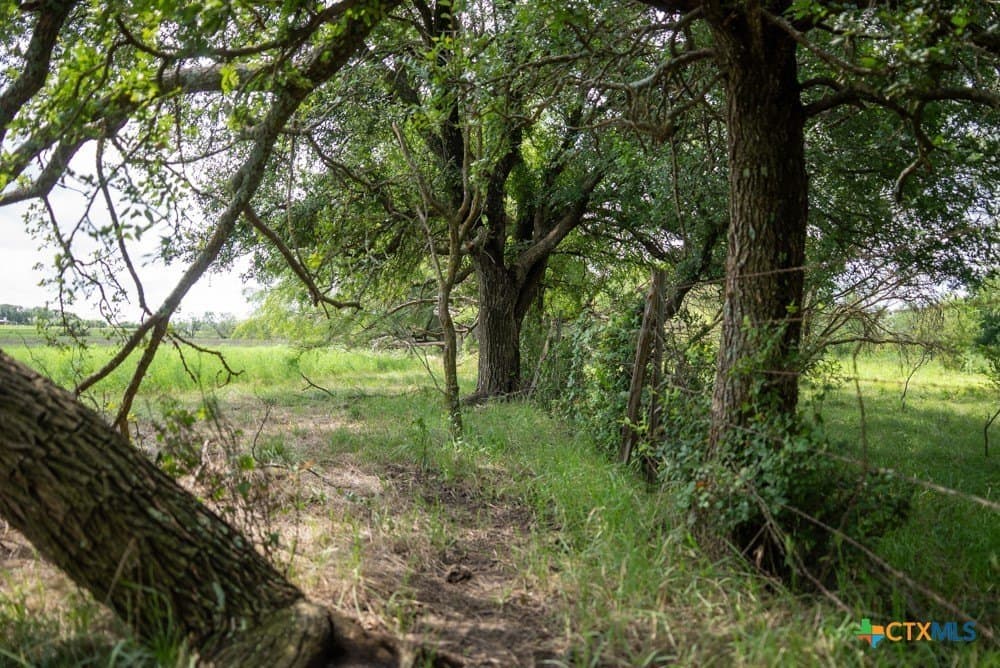 16 acres in McLennan County - photo 28