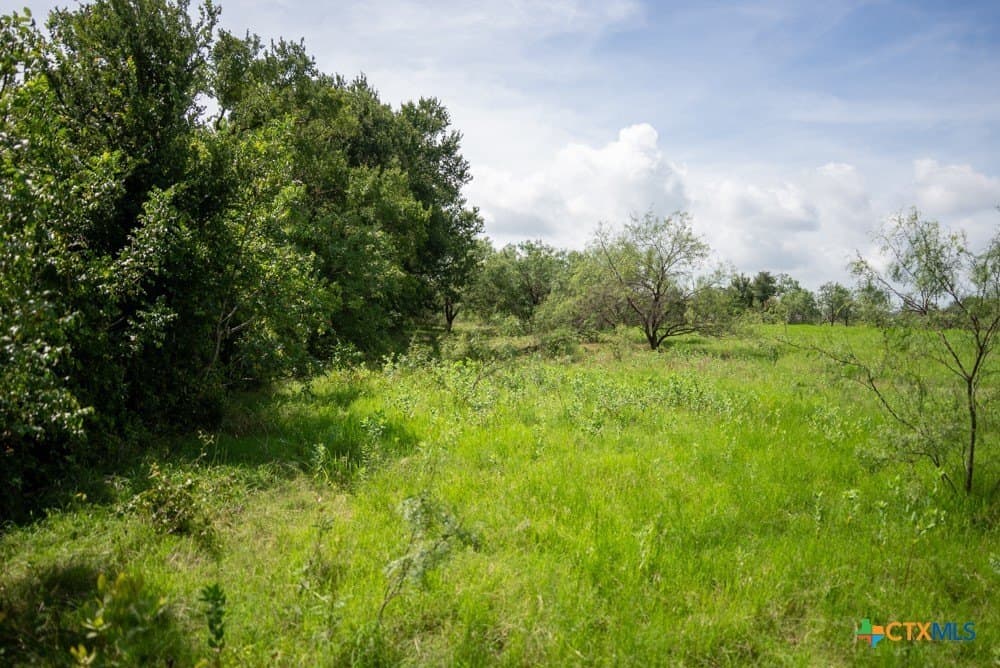 16 acres in McLennan County - photo 18