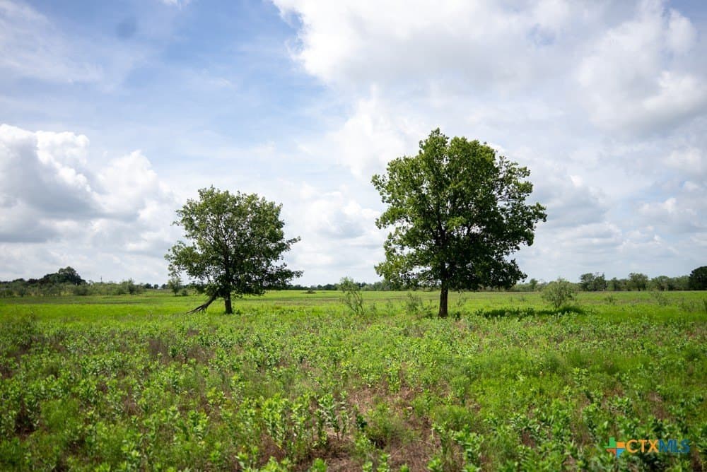 16 acres in McLennan County - photo 21