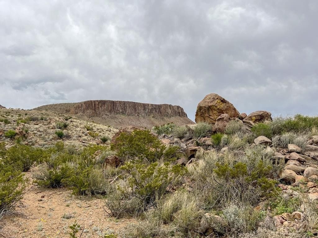 80 acres in Brewster County - photo 3