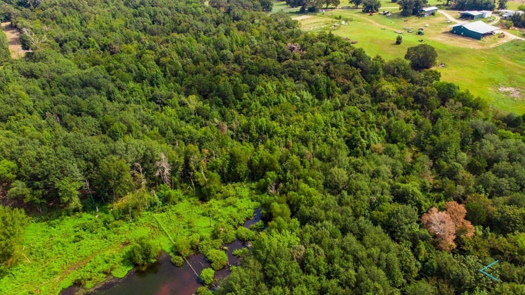 43.53 acres in Henderson County - photo 4