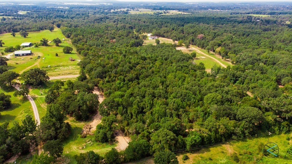 43.53 acres in Henderson County - photo 8
